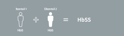 Die Arten der Sichelzellerkrankung umfassen HbSS, HbSC, HbS-Thalassämie, HbSD, HbSE und HbS0.