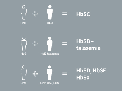 Los tipos de enfermedad de células falciformes incluyen HbSS, HbSC, HbS-talasemia, HbSD, HbSE y HbS0