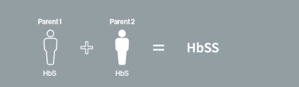 Les différents types de drépanocytose incluent les variantes HbSS, HbSC, thalassémie HbS, HbSD, HbSE et HbS0