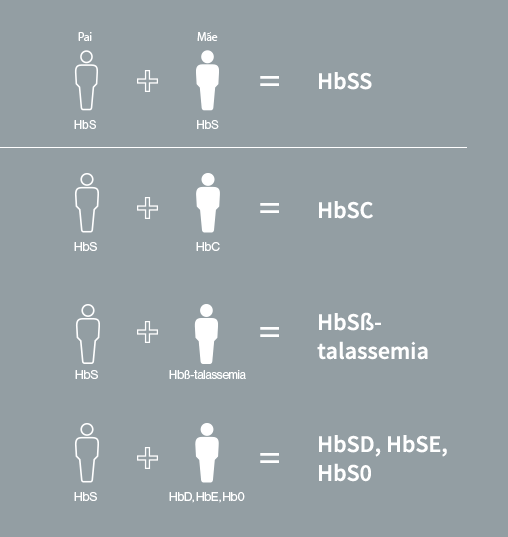 Os tipos de doença falciforme incluem HbSS, HbSC, talassemia HbS-, HbSD, HbSE e HbS0