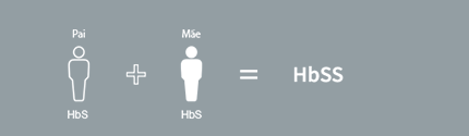 Os tipos de doença falciforme incluem HbSS, HbSC, talassemia HbS-, HbSD, HbSE e HbS0